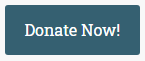 Donate Button